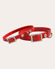 Shaya Pets Ruby Taylor Collar 3